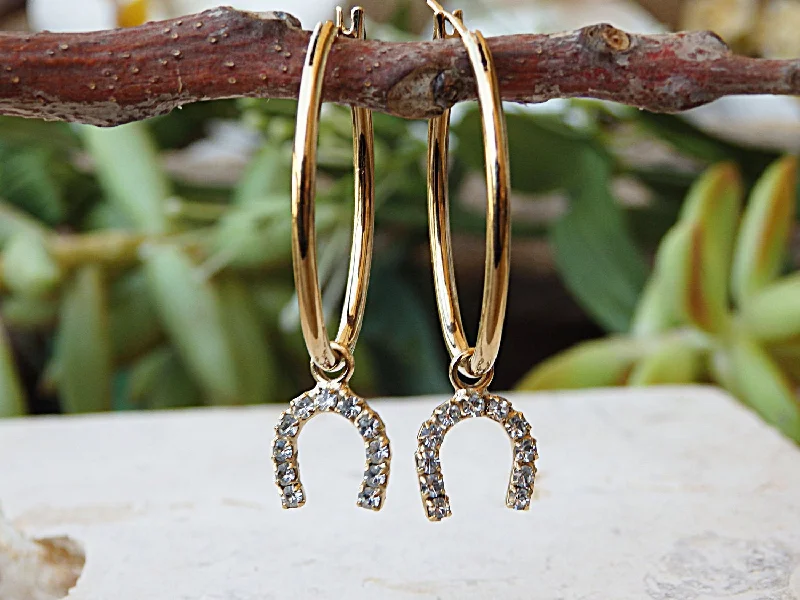 Hoops earrings